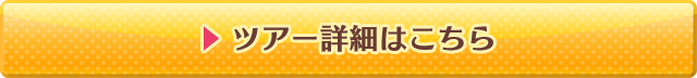 ツアー詳細はこちら