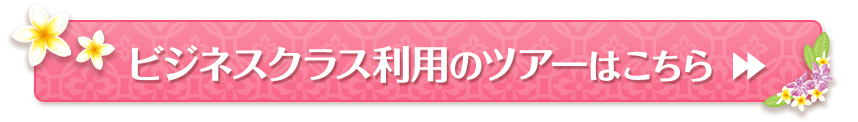 ビジネスクラス利用のツアーはこちら