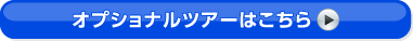 �I�v�V���i���c�A�[�͂�����