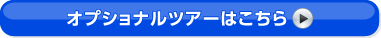 �I�v�V���i���c�A�[�͂�����