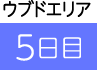 5����