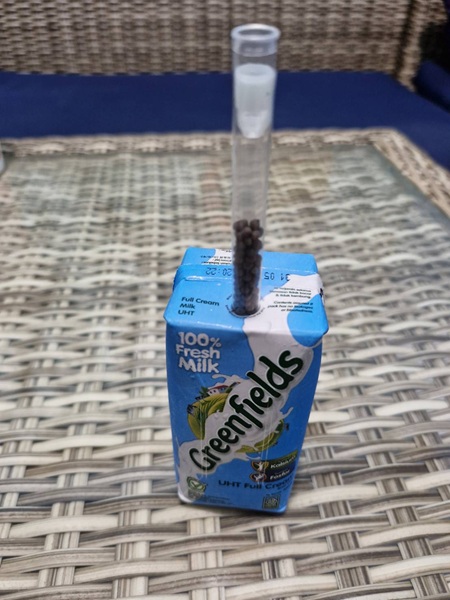 ファンストロー2.jpg