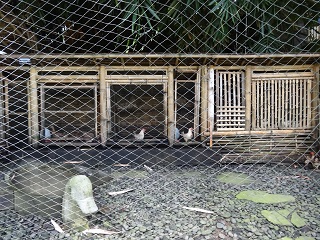 マンダパ、ア・リッツカールトンリザーブ　キッズクラブ併設の鳥小屋