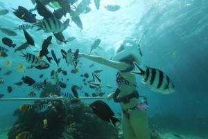 レンボンガン島を満喫できる海のアクティビティ豪華パッケージ