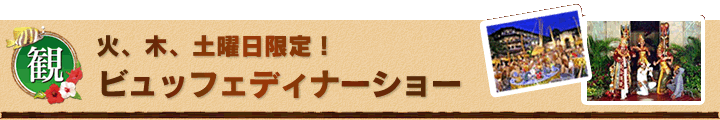 火、木、土曜日限定!ビュッフェディナーショー