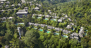 ロイヤルピタマハ画像