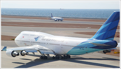 ガルーダ航空B747-400とANAの画像