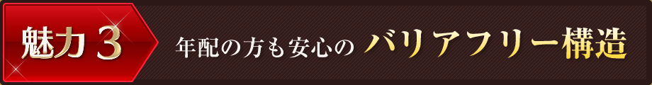 ͂RNz̕S̃oAt[\