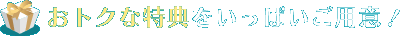 ���g�N�ȓ��T�������ς����p�ӁI