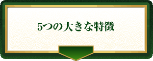5つの大きな特徴