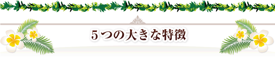 5つの大きな特徴