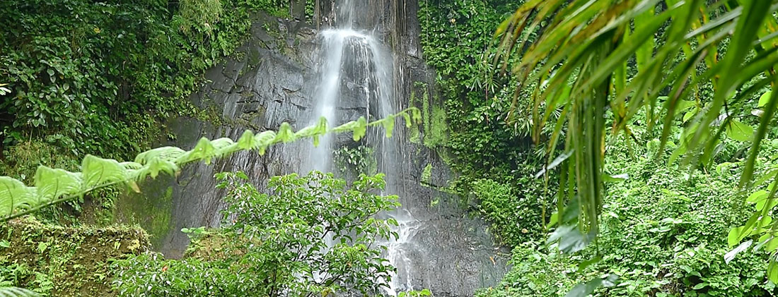 ザ・ロイヤル・ピタマハのパワースポットの滝の画像
