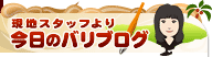 nX^bt荡̃o