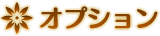 オプション