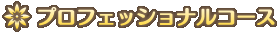 プロフェッショナルコース