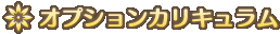 オプションカリキュラム