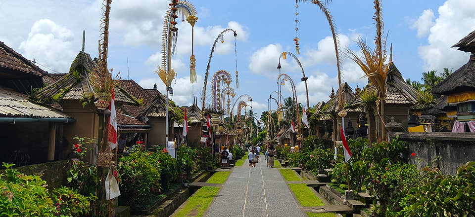 プングリプラン