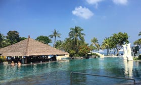 �o�������C���|�[�g�@�̉摜