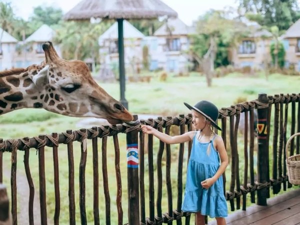ゾウとのふれあい・動物ショー