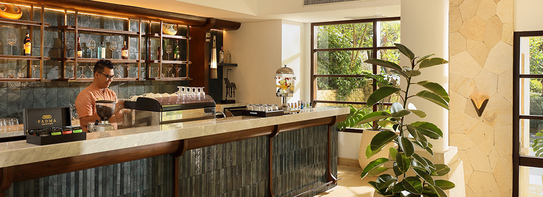 �p�h�}���M�����N���u���E���W(�C���[�W)