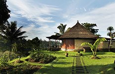 �o�O�[�X�E�W���e�B|�f���b�N�X�X�p���B��