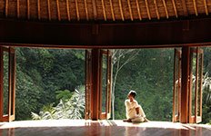 �o�O�[�X�E�W���e�B|���K���[��