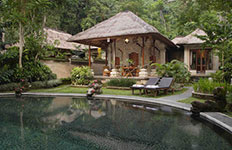 ���C�����s�^�}�n|���������