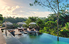 �R�}�l�J �A�b�g �^���K���_