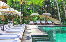 �}�l�J �A�b�g ���T�E�T����