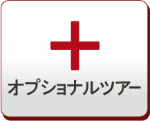 �I�v�V���i���c�A�[