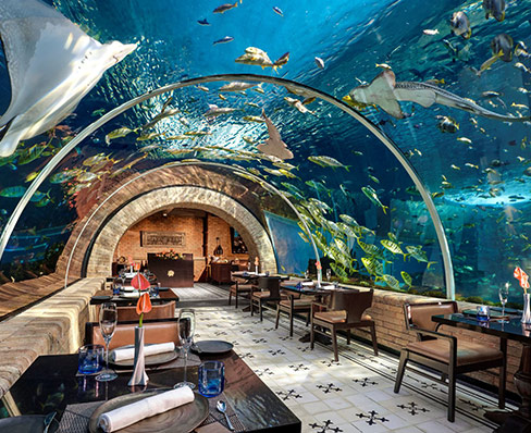 コーラルレストラン