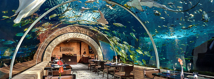 コーラルレストラン