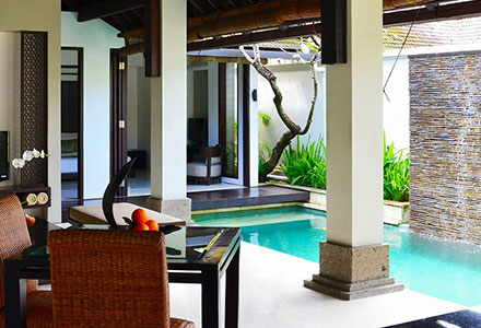 �W�E�A�}���̉摜1