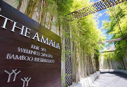 �W�E�A�}���̉摜2