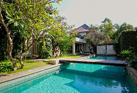 �W�E�A�}���̉摜3