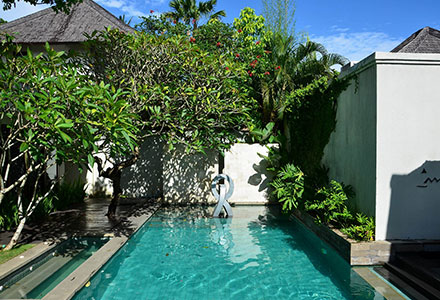 �W�E�A�}���̉摜4