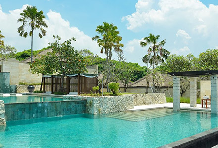 �U�E�o���̉摜1