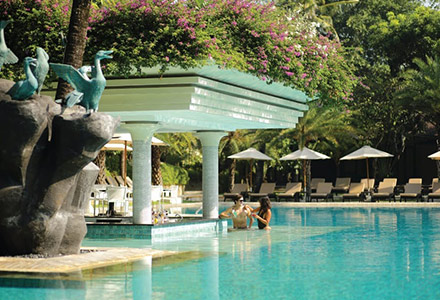 �p�h�}���]�[�g ���M�����̉摜2