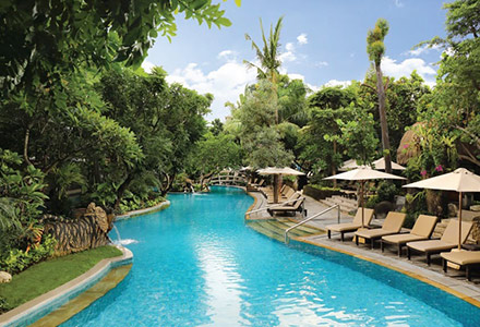 �p�h�}���]�[�g ���M�����̉摜3