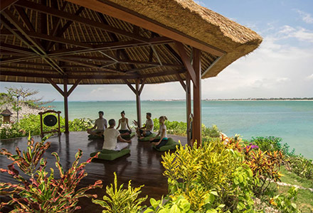 �t�H�[�V�[�Y���Y���]�[�g�o���@�A�b�g�@�W���o�����x�C�̉摜3