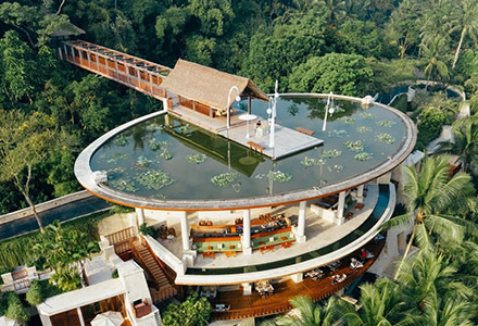 �t�H�[�V�[�Y���Y�@���]�[�g�@�o���@�A�b�g�@�T�����̉摜2