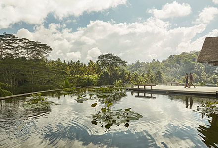 �t�H�[�V�[�Y���Y�@���]�[�g�@�o���@�A�b�g�@�T�����̉摜3