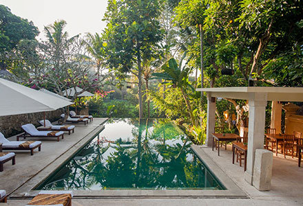 �R�}�l�J�@�A�b�g�@�����L�[�t�H���X�g�̉摜1