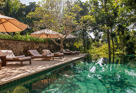 �R�}�l�J�@�A�b�g�@�����L�[�t�H���X�g�̉摜2