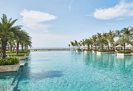 �W �A�v�����@ �P���s���X�L�[ �o���̉摜3