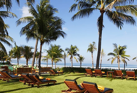 �o���E�}���f�B���E�r�[�`�E���]�[�g���X�p�̉摜2