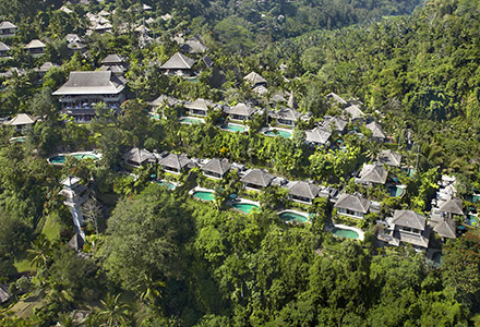 ���C�����s�^�}�n�̉摜1