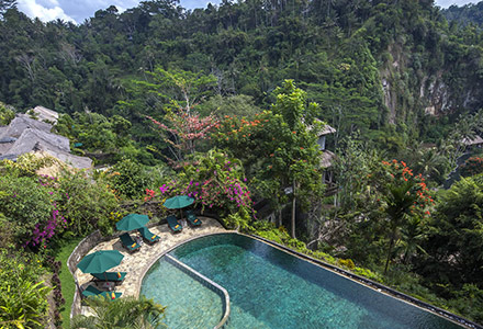 ���C�����s�^�}�n�̉摜2