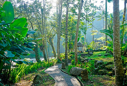 ���C�����s�^�}�n�̉摜3