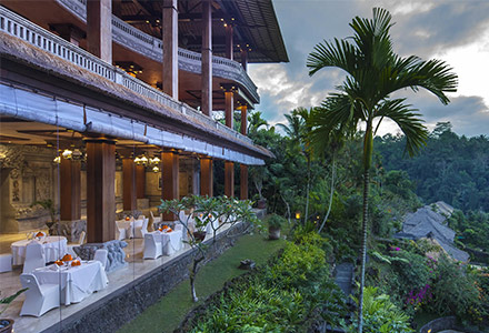 ���C�����s�^�}�n�̉摜4